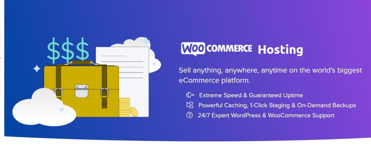 How To Choose The Best Ecommerce Hosting Plan For Your Business